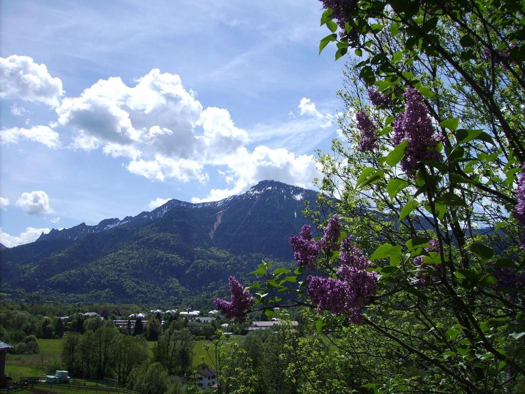 Leitnerhof Pensjonat Bad Reichenhall